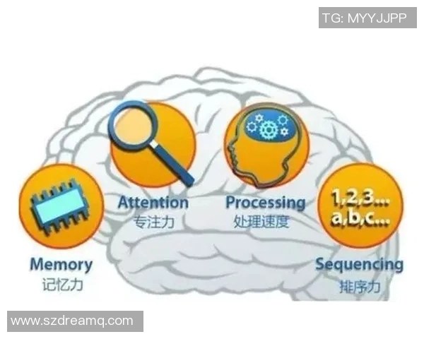足球明星继承家产背后的故事与财富传承的秘密揭秘