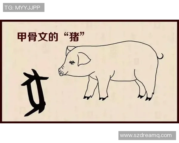 古代足球明星小鸡的传奇故事与历史地位解析