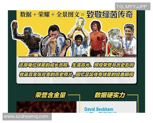 全球足球明星排行榜揭晓前100名球员的荣耀与成就分析